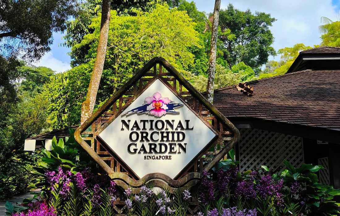 National Orchid Garden